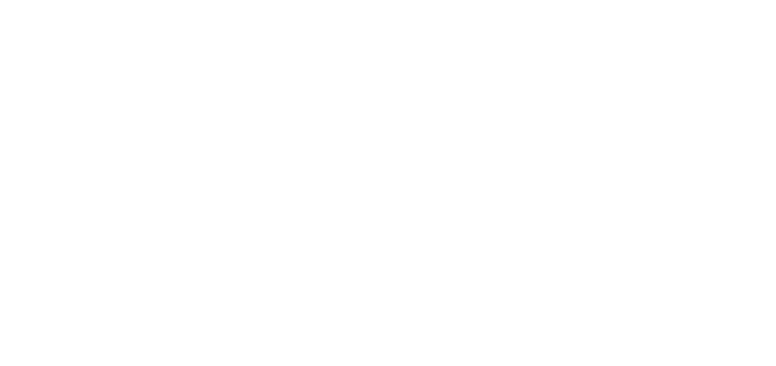 Florida blue white logo